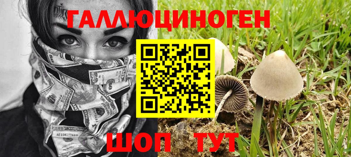 Галлюциногенные грибы Cubensis Грязи