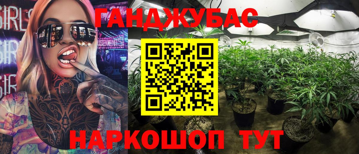 Марихуана сатива Грязи